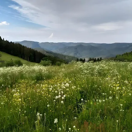 Klausenhof Schonach Schonach im Schwarzwald