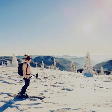 Klausenhof Schonach *