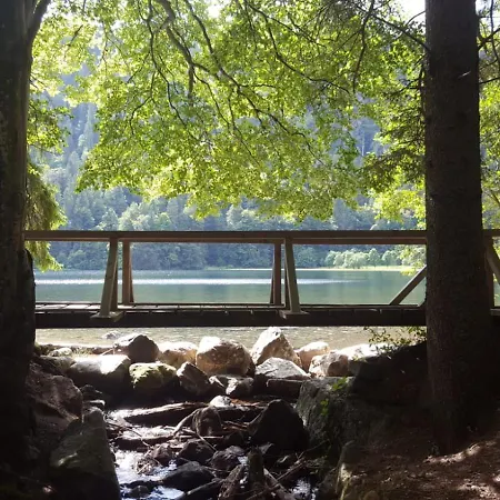 Séjour à la ferme Klausenhof Schonach
