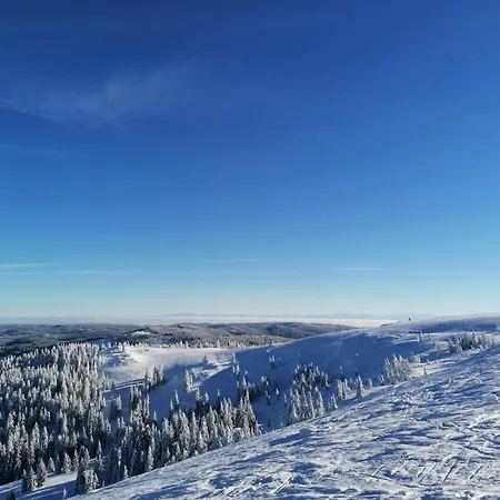 Klausenhof Schonach Séjour à la ferme *