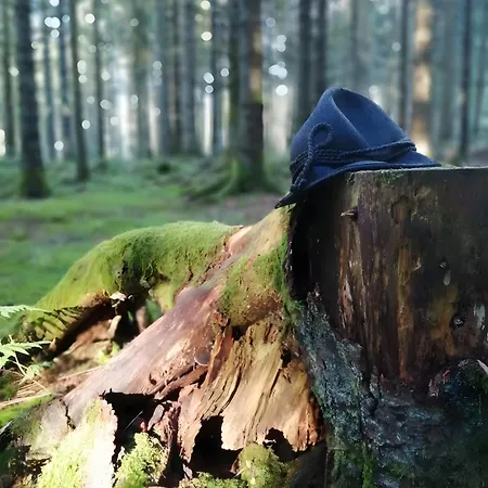 Séjour à la ferme Klausenhof Schonach