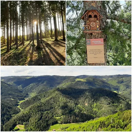 Séjour à la ferme Klausenhof Schonach *