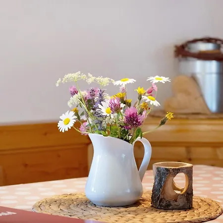 Klausenhof Schonach Séjour à la ferme Schonach im Schwarzwald