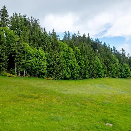 Séjour à la ferme Klausenhof Schonach *