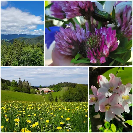 Séjour à la ferme Klausenhof Schonach *