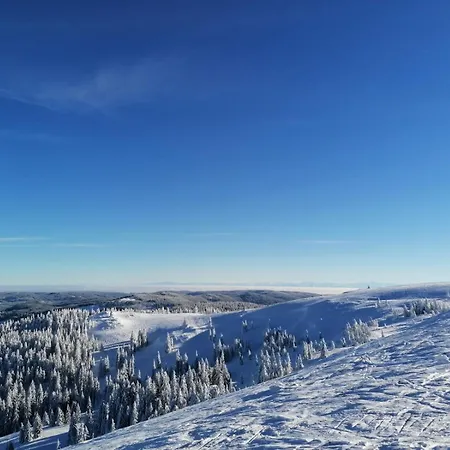 Klausenhof Schonach Schonach im Schwarzwald