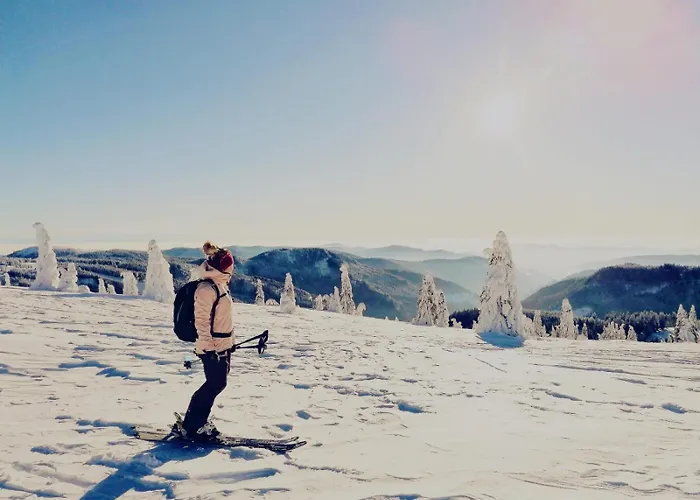 Klausenhof Schonach *