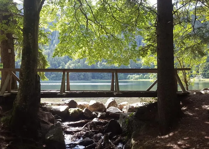 Lantgård Klausenhof Schonach