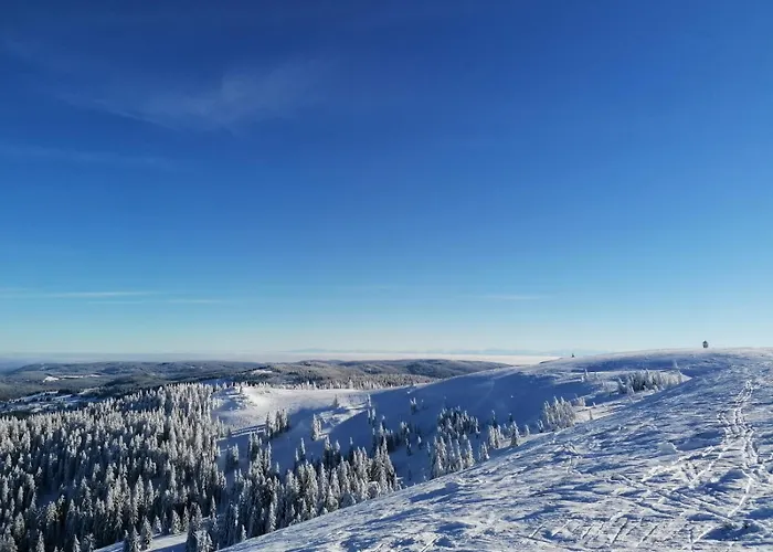 Klausenhof Schonach Lantgård *