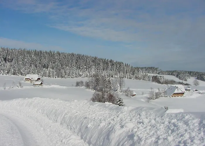 Lantgård Klausenhof Schonach *