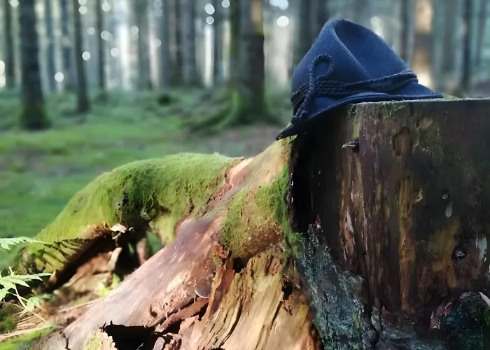 Lantgård Klausenhof Schonach