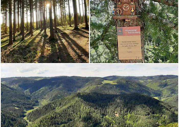 Lantgård Klausenhof Schonach *