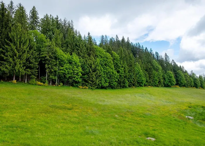 Lantgård Klausenhof Schonach *